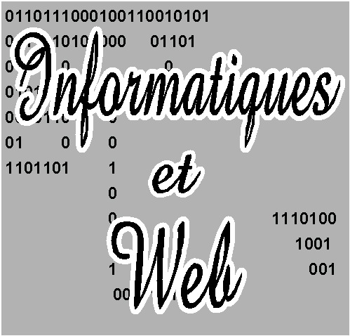 Services Informatique, Installation